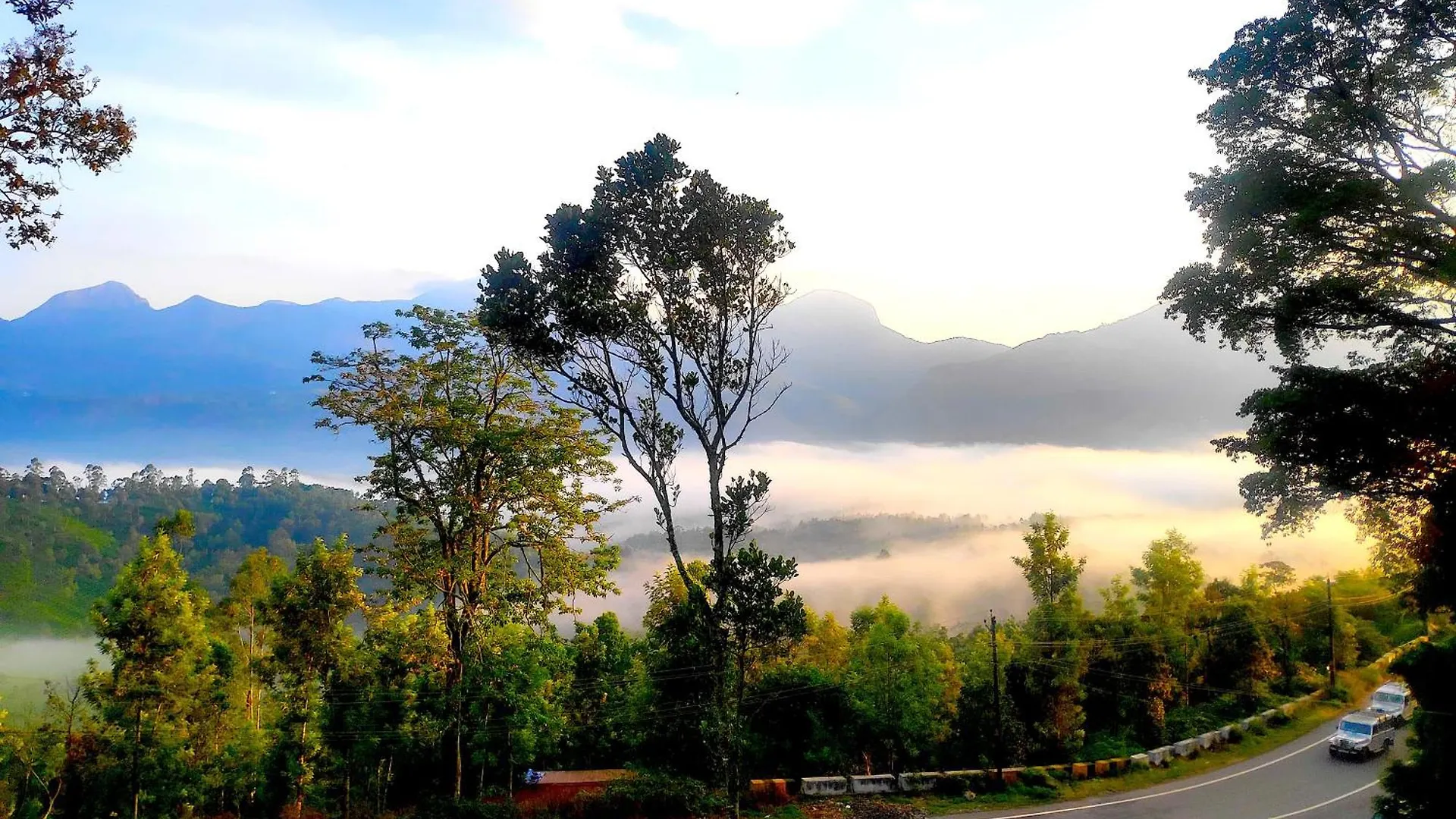 M C Greenature Holidays Pooppara 0*,  India